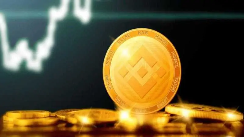 The Future of Binance Coin: Predictions, Challenges, and Opportunities