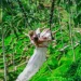 Alas Harum Bali, Exotic and Green Natural Charm in Gianyar