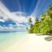 Exotic Beaches in North Maluku That Offer Unforgettable Natural Charm