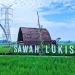 Binjai Painted Rice Fields, Natural Tourism with Colorful Rice Field Views