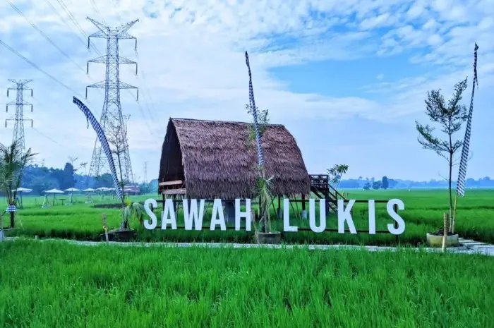 Binjai Painted Rice Fields, Natural Tourism with Colorful Rice Field Views