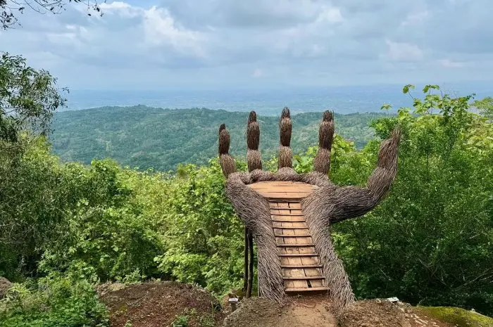 Pengger Pine Forest, Natural Tourism with Stunning Pine Forest Views in Bantul
