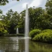 Tokyo Yoyogi Park, a Tourist Destination with Interesting History