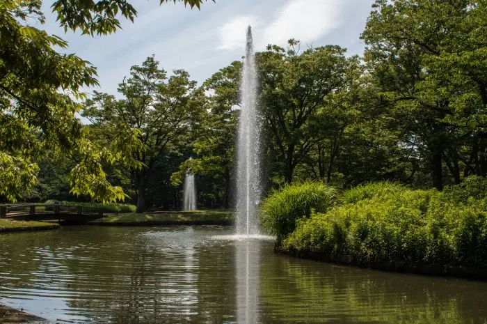 Tokyo Yoyogi Park, a Tourist Destination with Interesting History